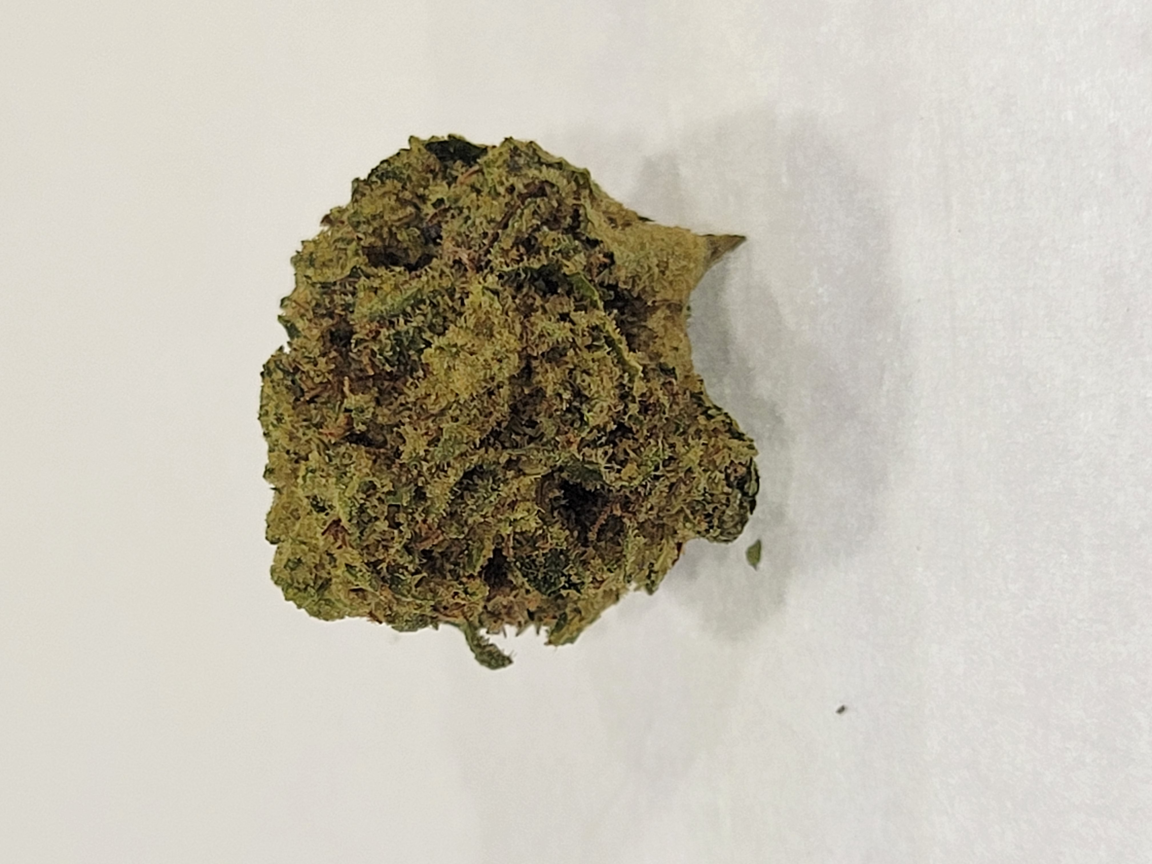 Photograph of product: Zookies *H* - 3.5g