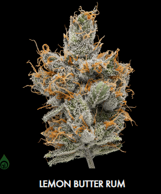 Photograph of product: Green Dot Preroll - Lemon Butter Rum