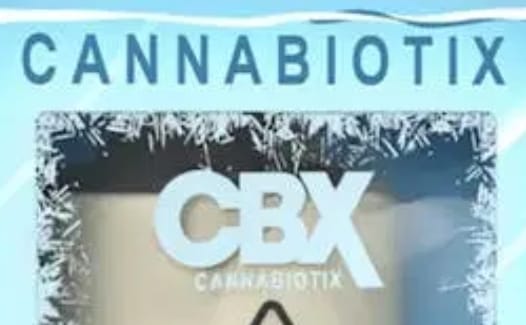 Photograph of product: Grand Master | 4 x .5g | 2g Pre-Roll Pack