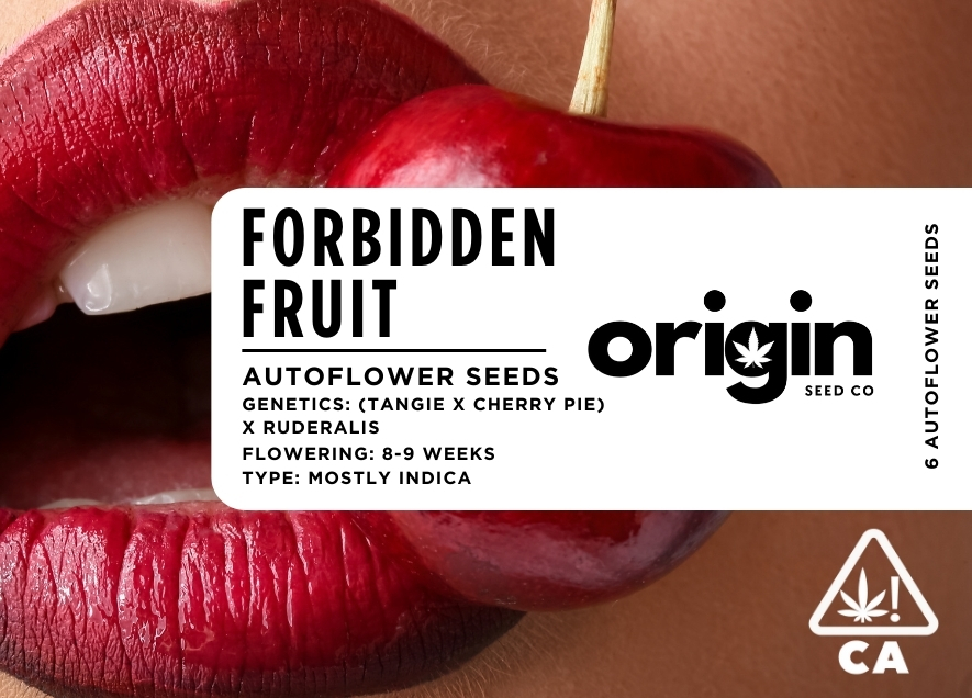 Photograph of product: Autoflower 6pk - Forbidden Fruit