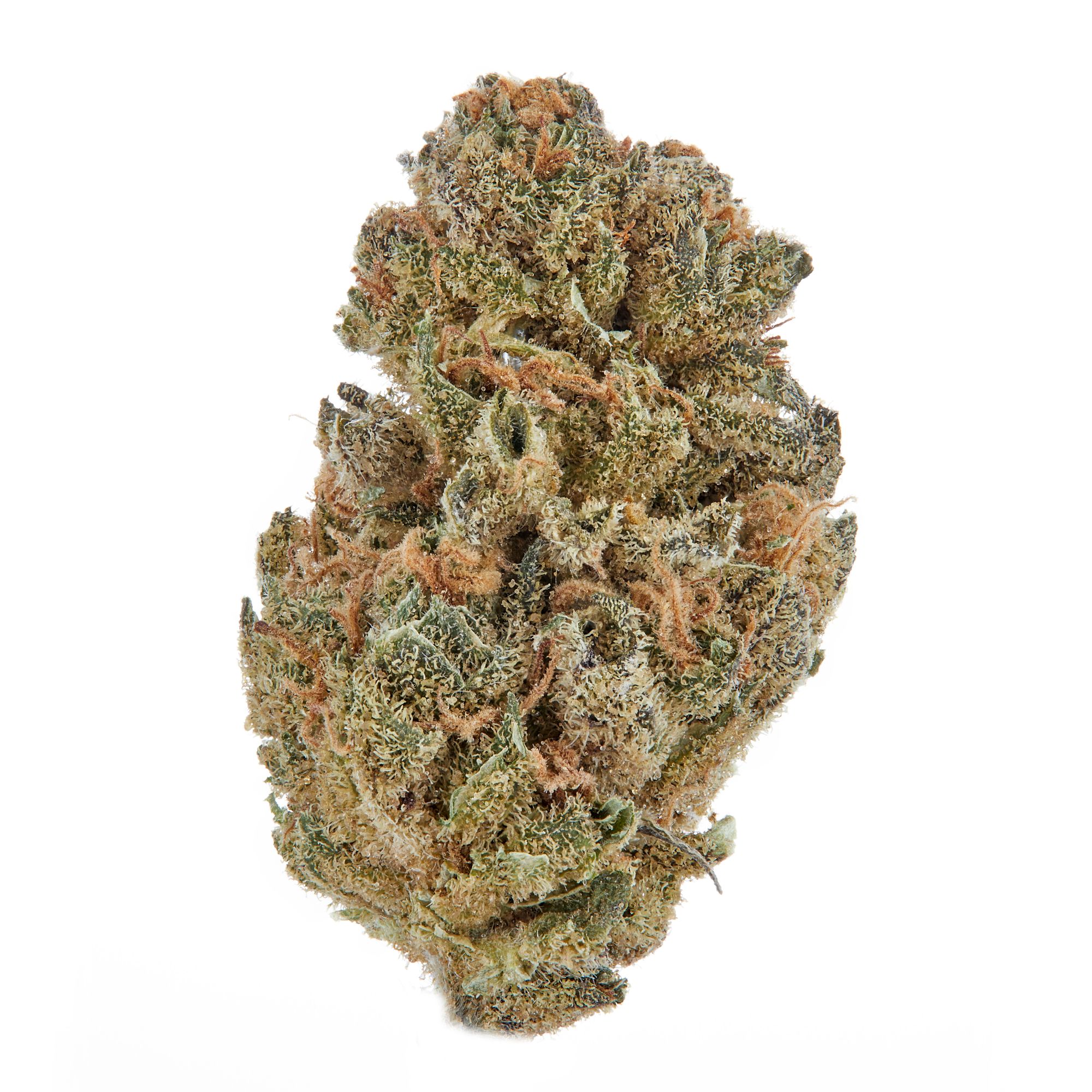 Photograph of product: Apricot Scone 8th 3.5g