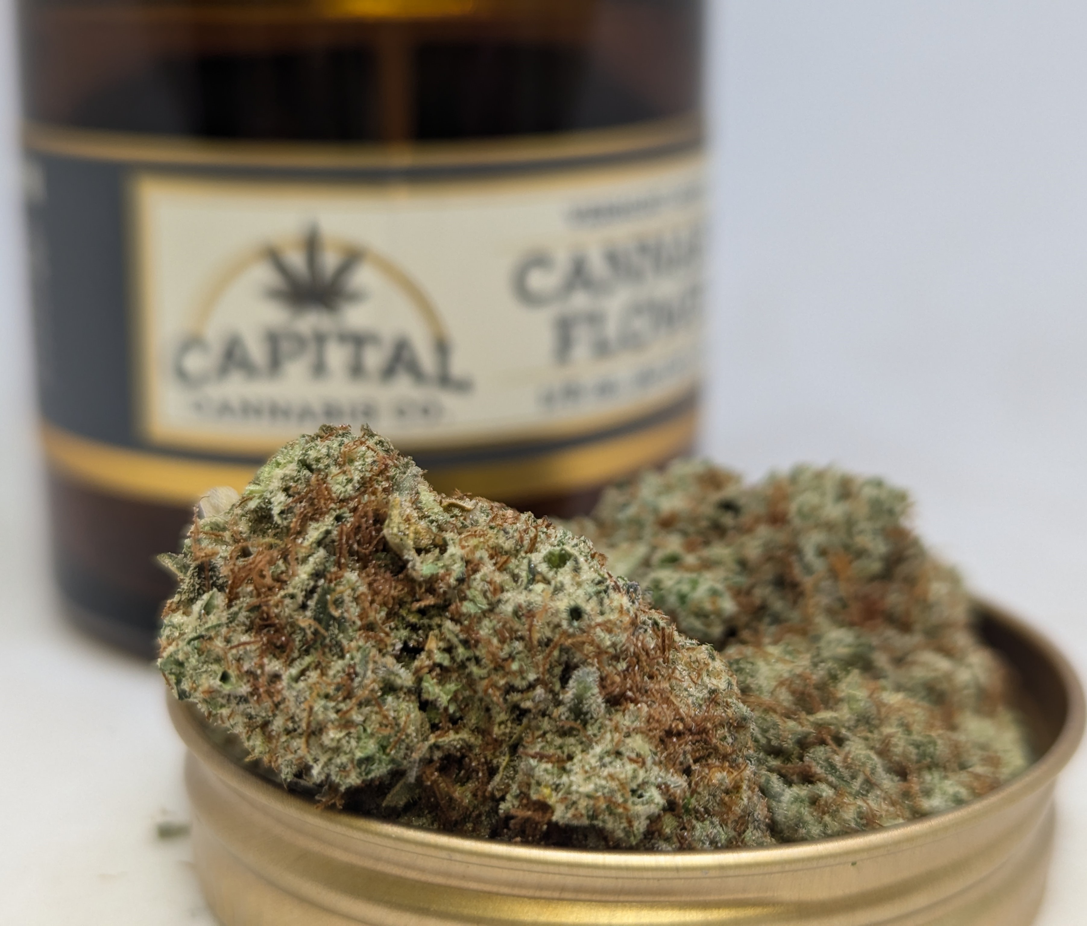 Photograph of product: Gorilla Girl Jar | 802 Farmacy - 3.5g