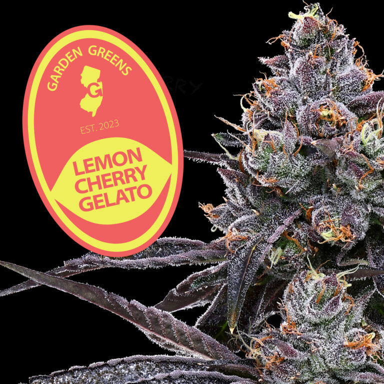 Photograph of product: Lemon Cherry Gelato 3.5g