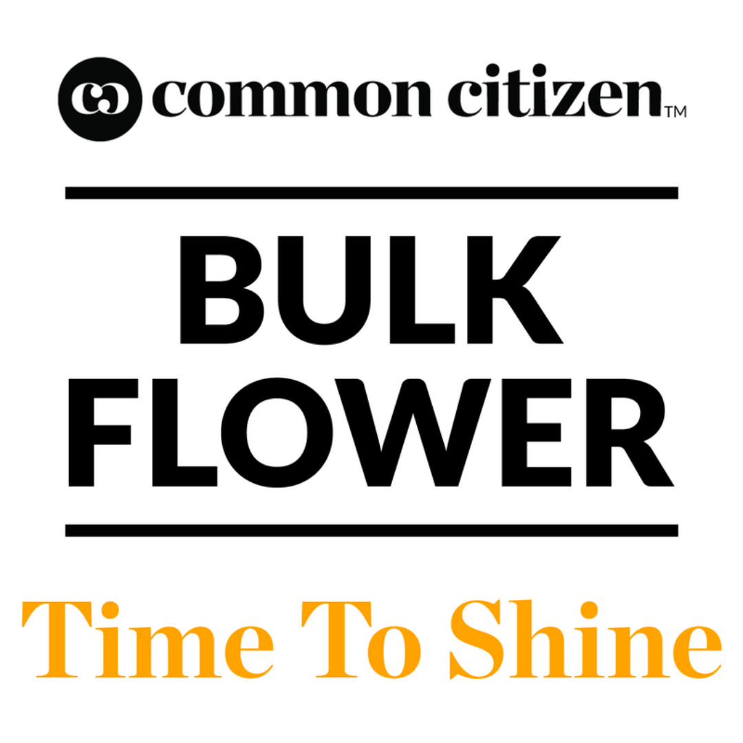 Photograph of product: Common Citizen | Cheetah Piss Bulk Flower - 28g