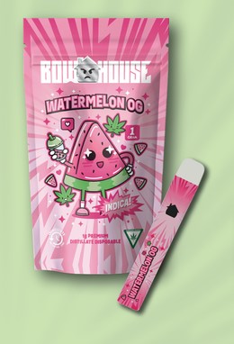 Photograph of product: Watermelon OG Disposable Vape by Bow House