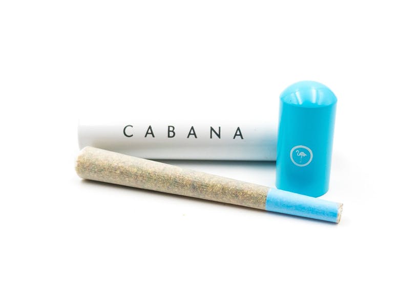 Photograph of product: Cabana - The Rizz Preroll