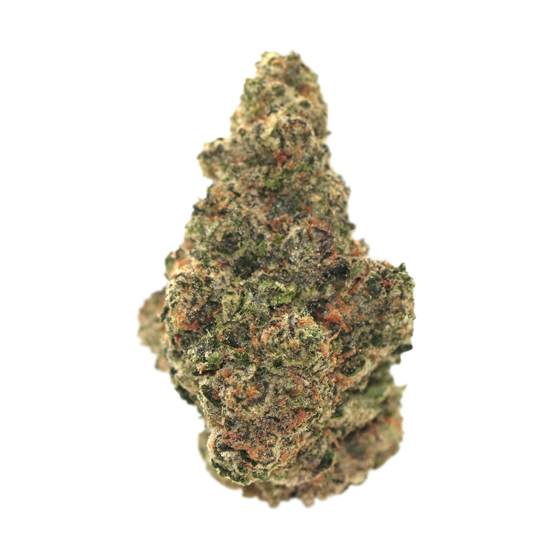 Photograph of product: CAM | Guava Gelato | 14G Flower