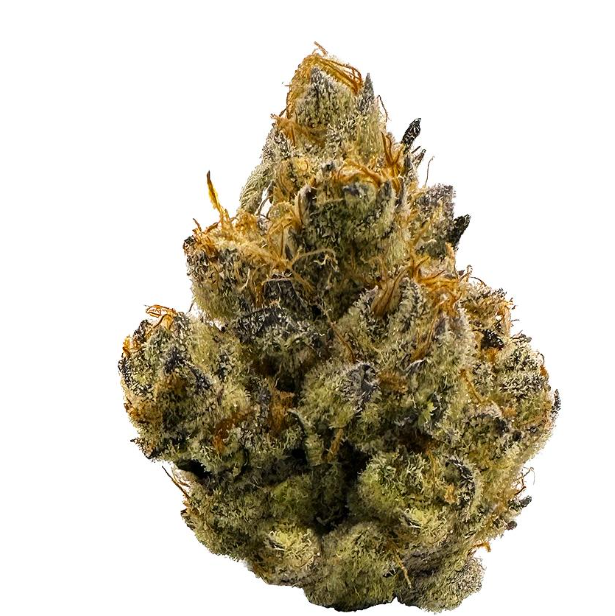 Photograph of product: BUOYANT BOB 3.5G WOUNDED WARRIOR BREATH