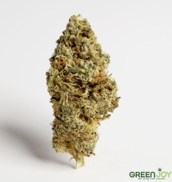 Photograph of product: Green Joy - Peach Crescendo -  - Flower - 7g