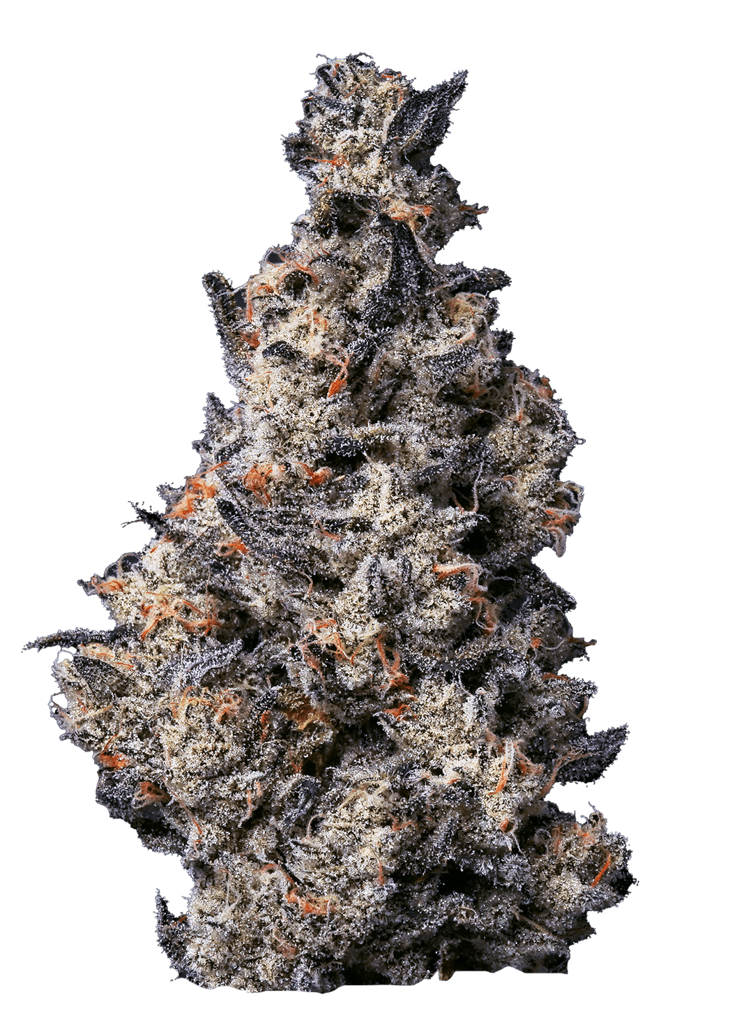 Photograph of product: AZ Fig Farms Flower - Donut Shop 3.5g