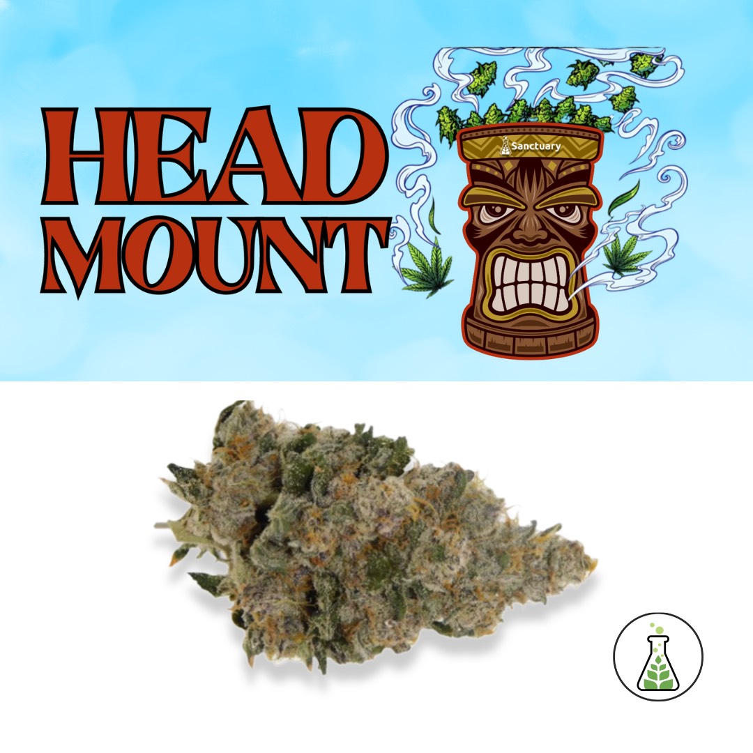 Photograph of product: Headmount Mini Bomb Flower | 28G | Sanctuary Medicinals