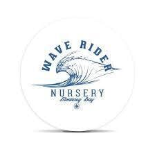 Photograph of product: WAVE RIDER BAY BREEZE CBD 3.5G
