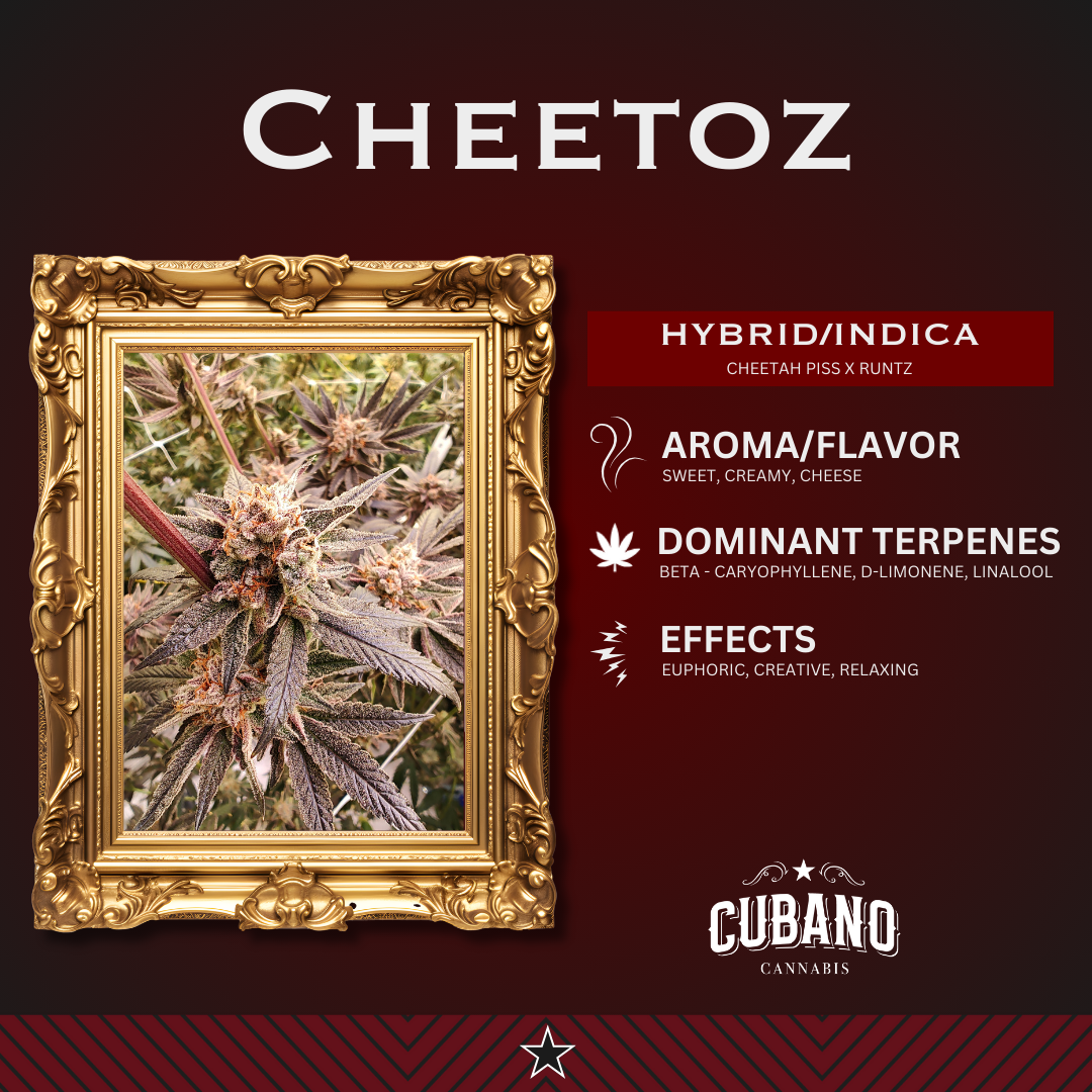 Photograph of product: CUBANO - PREPACK - 3.5G - T1 - CHEETOZ - Oui'd