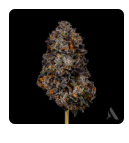 Photograph of product: Affinity Bachelor Party Whole Flower 24.72% (H) 3.5g - 00486