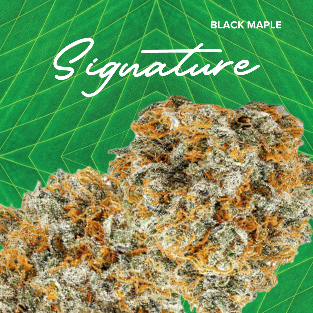 Photograph of product: Signature 3.5g Black Maple