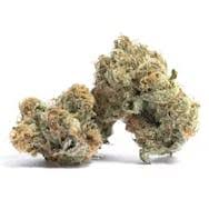 Photograph of Product: SweetCut - Kimbo Ice Smalls - Bulk Flower - 1g