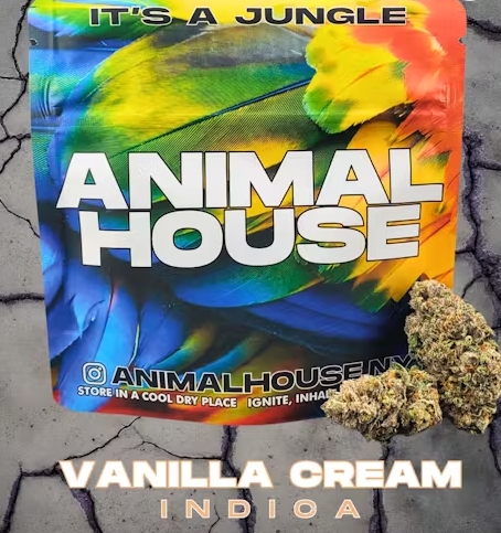 Photograph of product: Animal House Whole Flower | 3.5g | Vanilla Cream