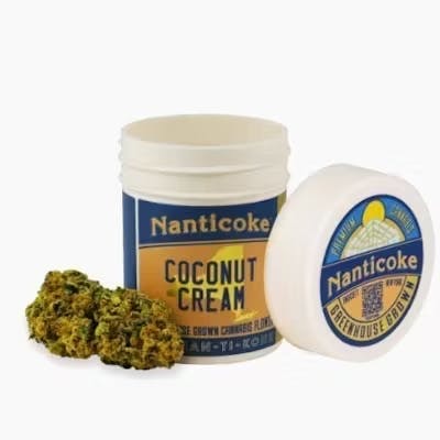 Photograph of product: Nanticoke Flower Coconut Cream Hybrid-I 3.5g