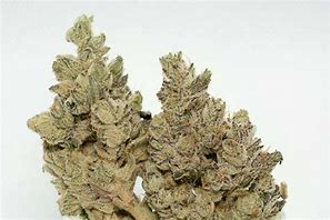 Photograph of Product: maple rose OG cookies - 3.5g