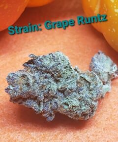 Photograph of product: Grape Runtz | Flower OZ - 7g