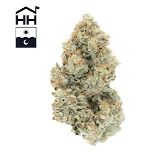Photograph of product: Motorbreath Harbor House - 3.5g