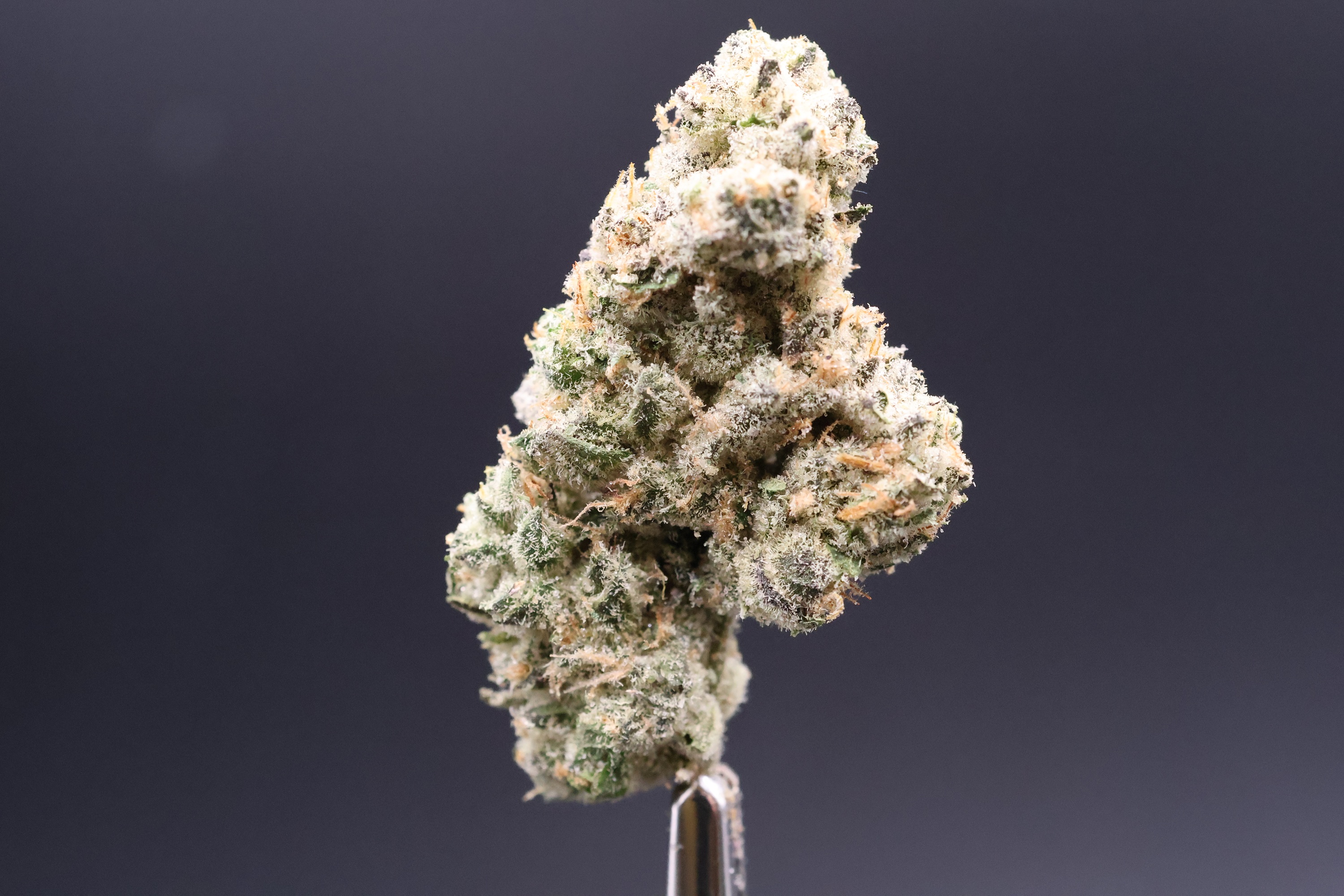 Photograph of product: GMO (Resin Ranchers) - 7g
