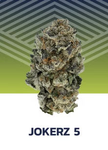 Photograph of product: Jokerz 5 Flower - 7g