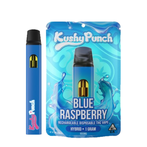 Photograph of product: BLUE RASPBERRY - 1G ALL-IN-ONE