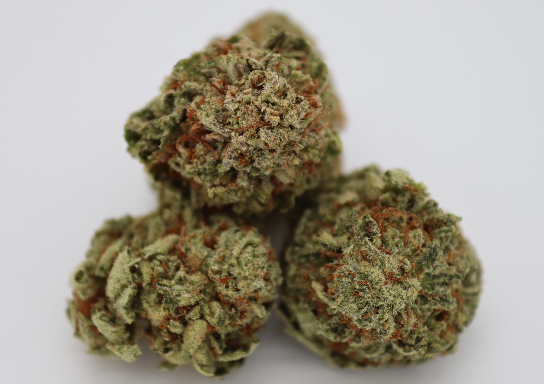 Photograph of product: OrKGB I Acapulco Gold(S) $135oz DEAL! - 28g