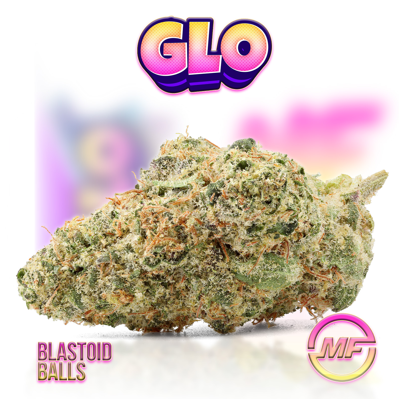 Photograph of product: Glo | Blastoise Balls - 28g