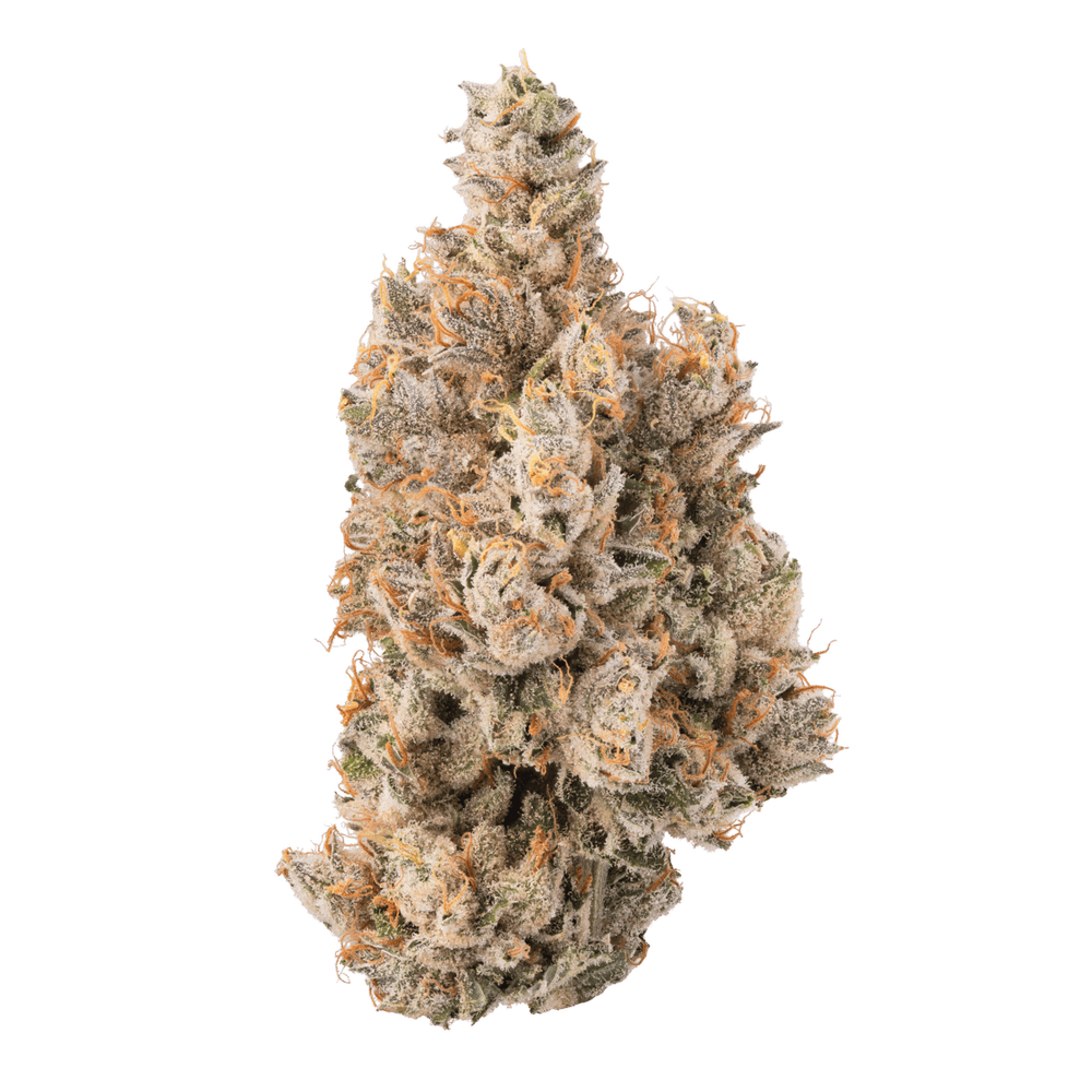 Photograph of product: Bostica GMO x Rootbeer | 3.5g