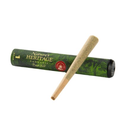 Photograph of product: Pre-Roll | Orange Biscuits | g