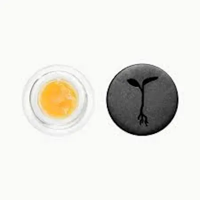 Photograph of product: Blue Dream Live Badder