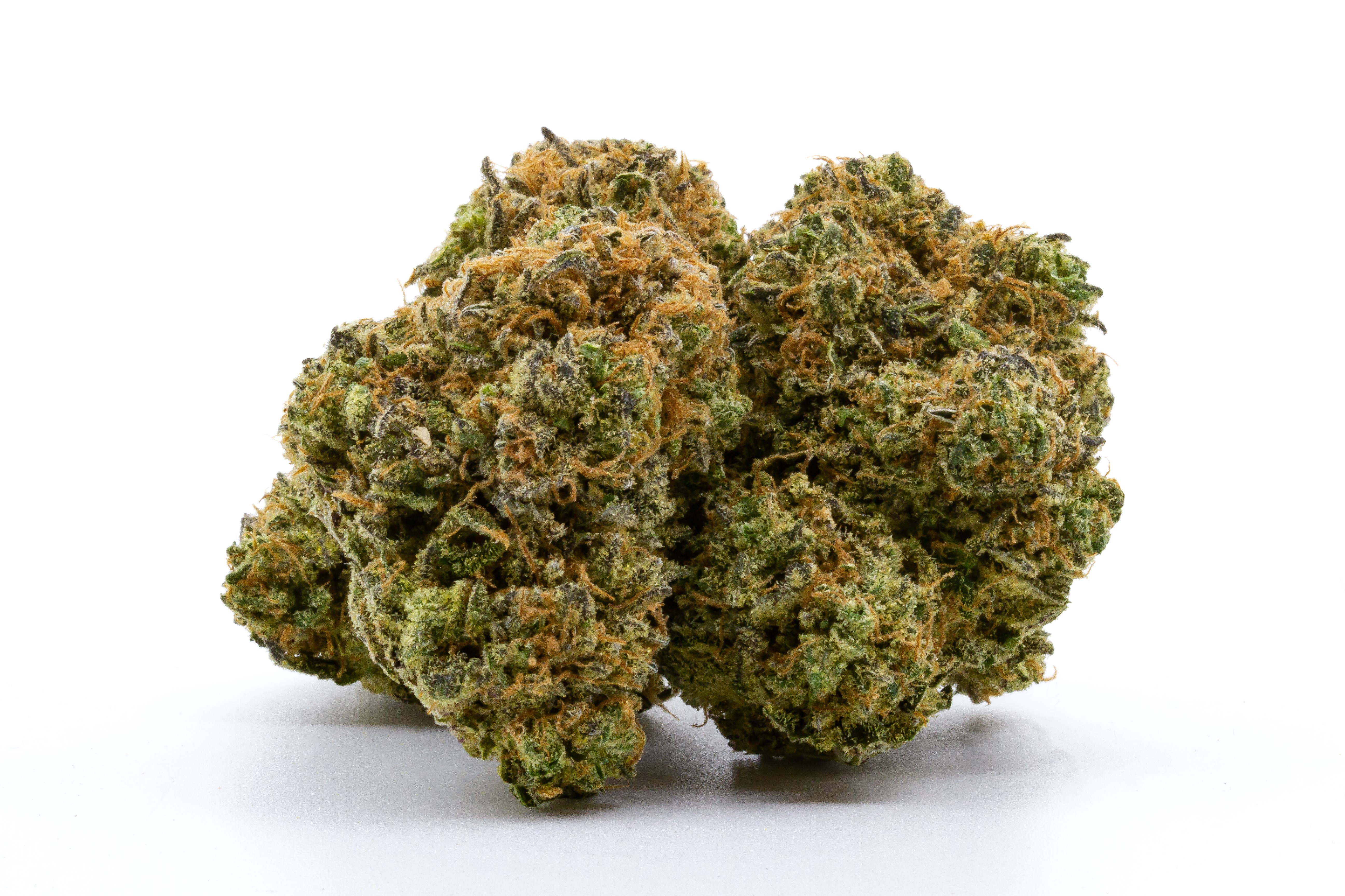 Photograph of product: Twisted Trees - BULK - Cinnamon Toast Runtz - 29.28% - 7g