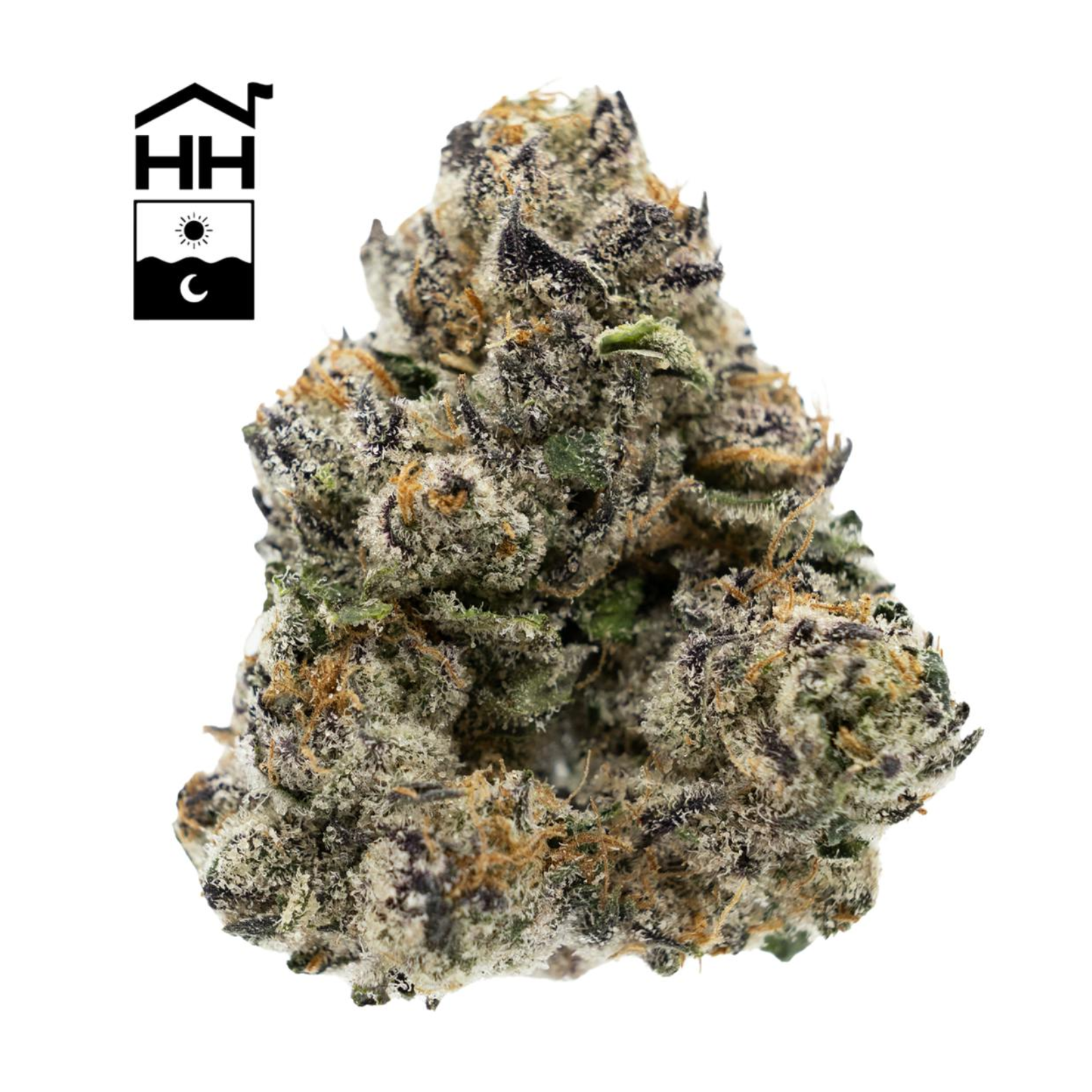 Photograph of product: 3.5g | Big Dank Lato | Harbor House