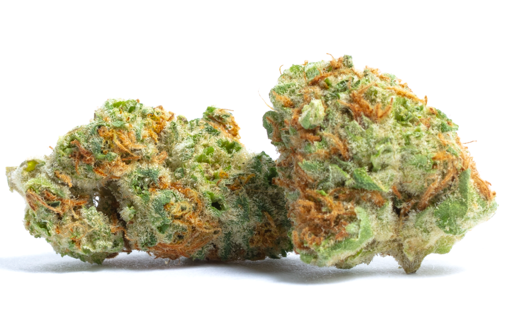 Photograph of product: MariGrow Farms | Flower (A Bud) | Papaya Punch | Hybrid Oui'd - 28g