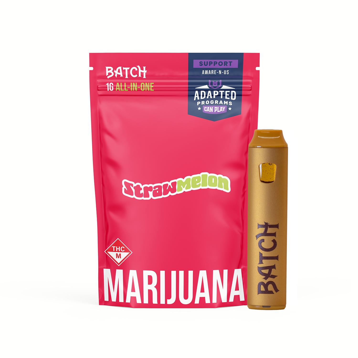 Photograph of product: BATCH - STRAWLEMON 1 GRAM DISPOSABLE VAPE