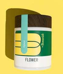 Photograph of product: Premium - Roasted Garlic Margy - Hybrid [1/8oz] (The Botanist) - 3.5g