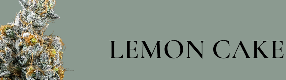 Photograph of product: 420 - Lemon Cake - 28g