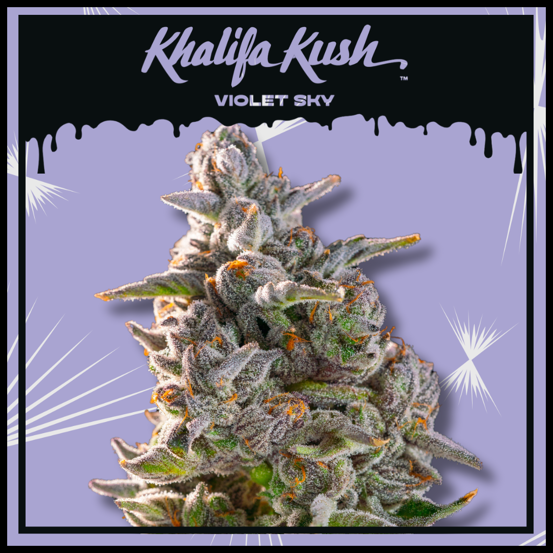 Photograph of product: Khalifa Kush Violet Sky 3.5g Prepack