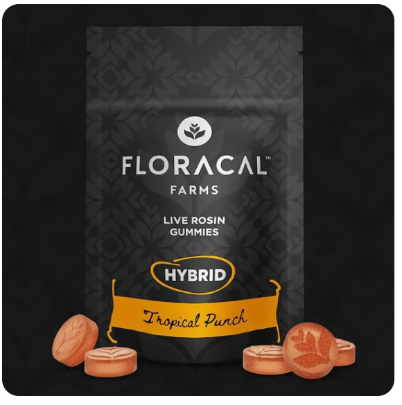 Photograph of product: FLORACAL TROPICAL PUNCH LIVE ROSIN 10PK GUMMIES 100MG