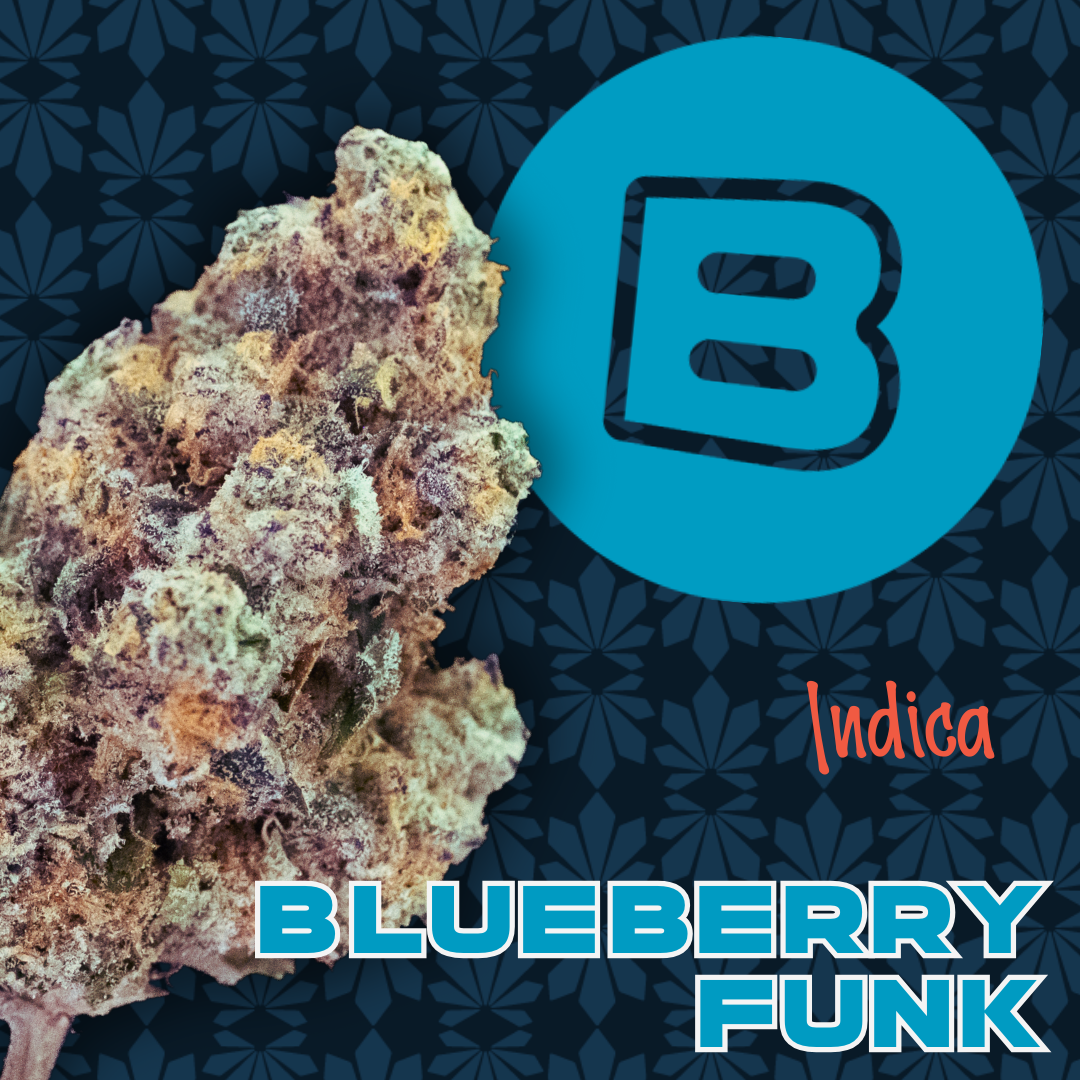Photograph of Product: Blueberry Funk | 2.83g