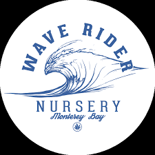 Photograph of product: Wave Rider - Alien OG - Pre-Roll 5 Pack .5g Each