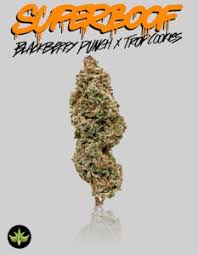 Photograph of product: EV - Super Boof Flower 3.5g