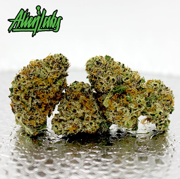 Photograph of product: Alien Labs - Area 41 - 3.5g - 