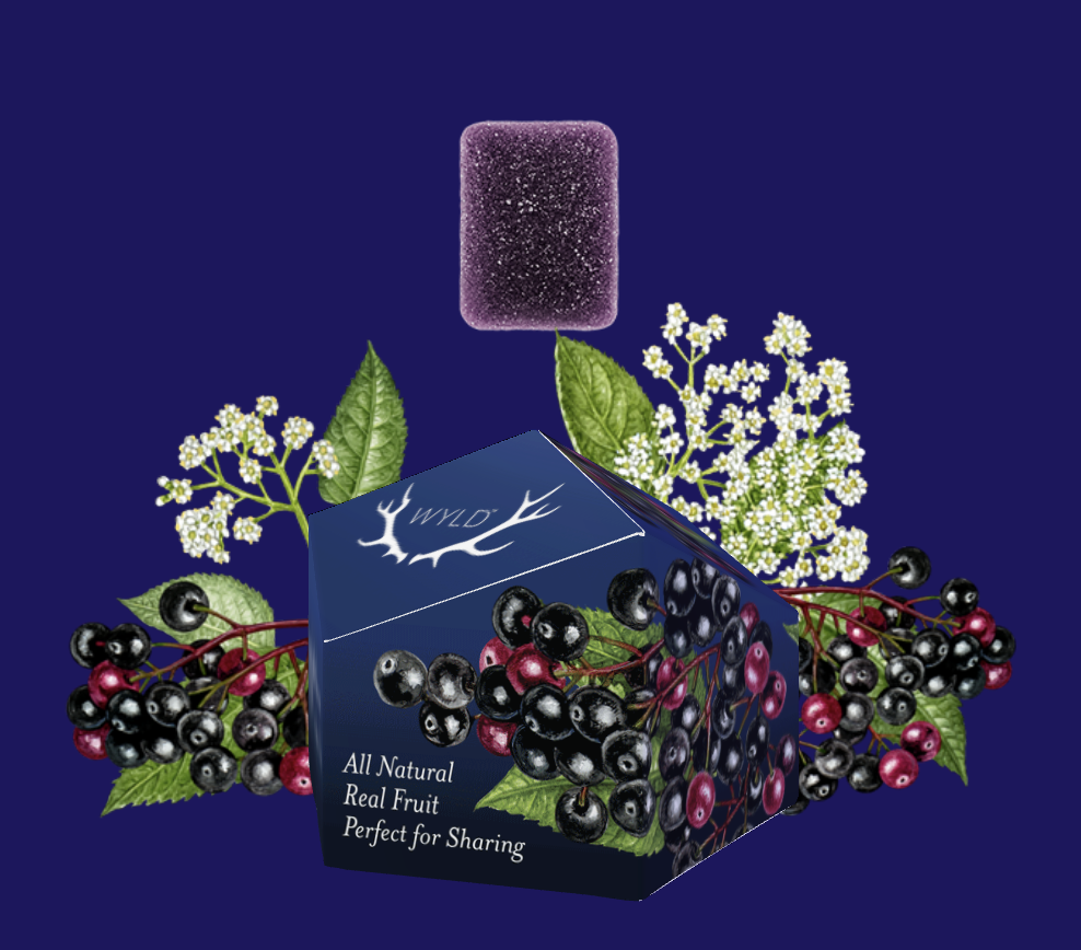 Photograph of product: Elderberry (2:1) (I) - 100mg