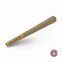 Photograph of product: East Coast Cure - Lemon Cherry Gelato Preroll (1G)