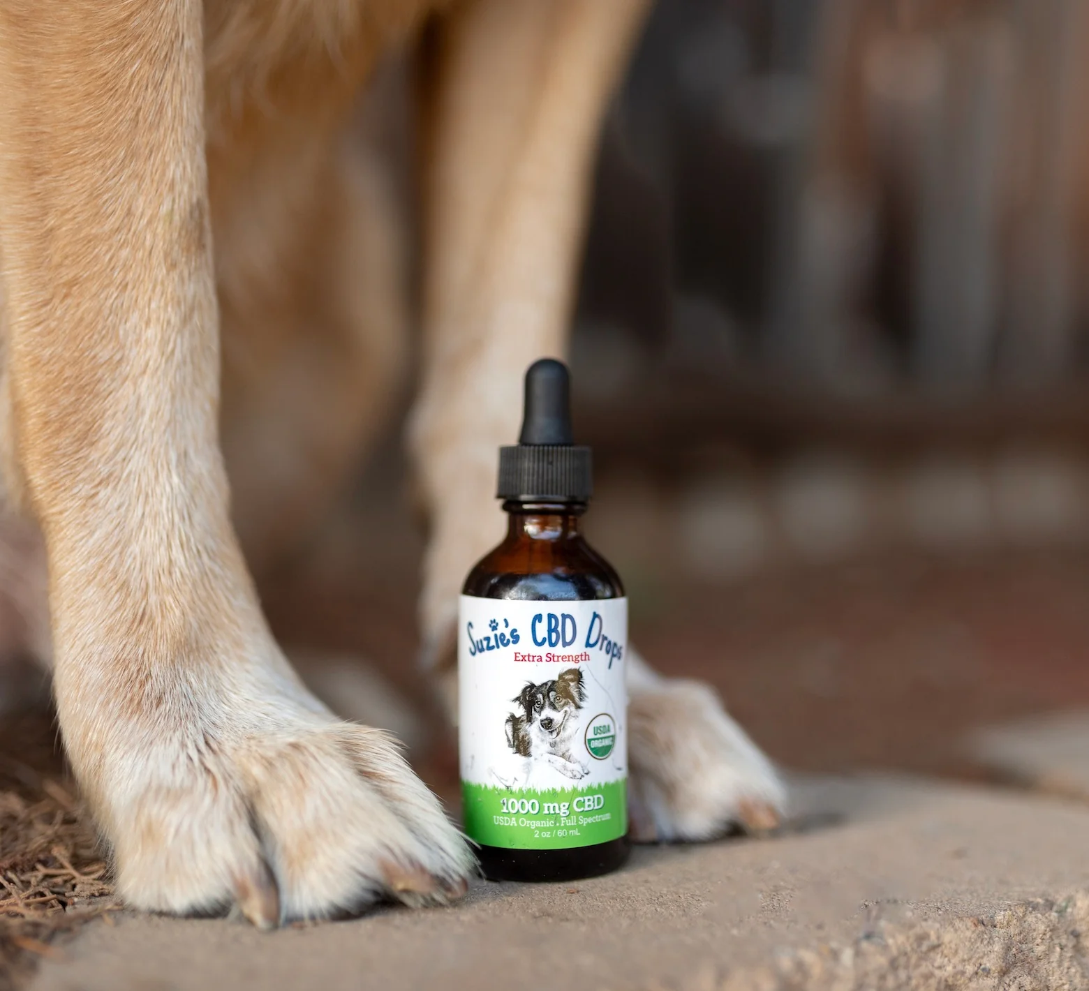 Photograph of product: CBD Pet Tincture