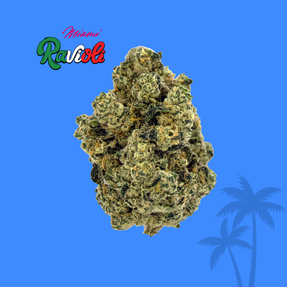 Photograph of product: Ravioli | Miami Ravioli | 3.5g
