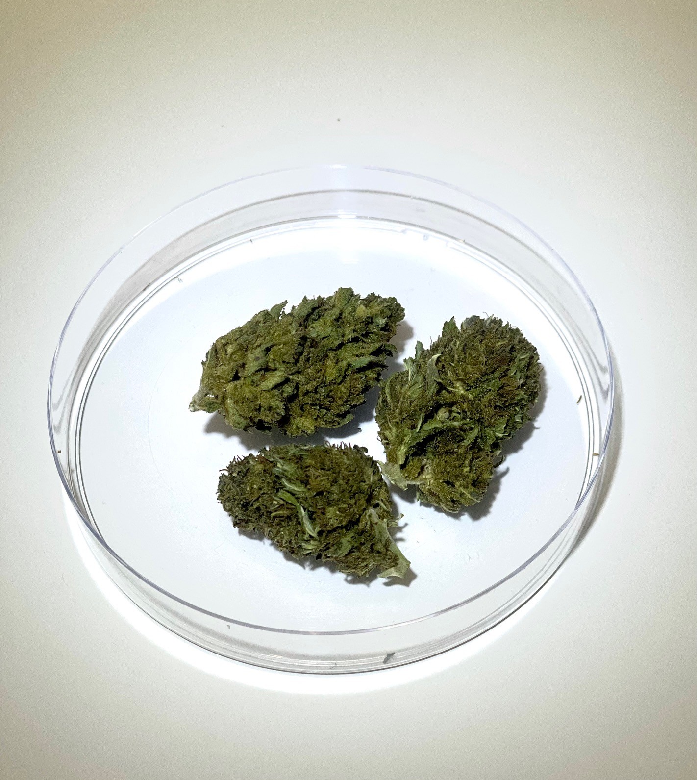 Photograph of product: East Fork | Pineapple Kush | CBD